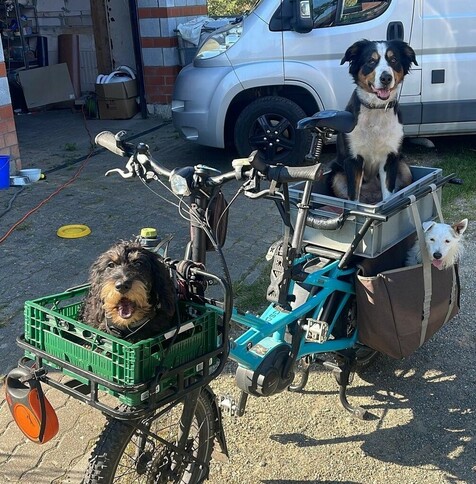 Posted media